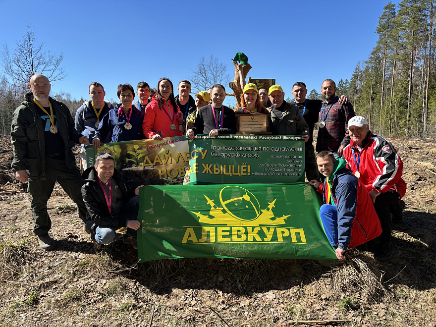 «Дай лесу новае жыццё» 6