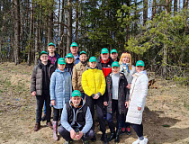 The management and employees of JSC "ALEVKURP" took part in the republican voluntary action "Forest Week"