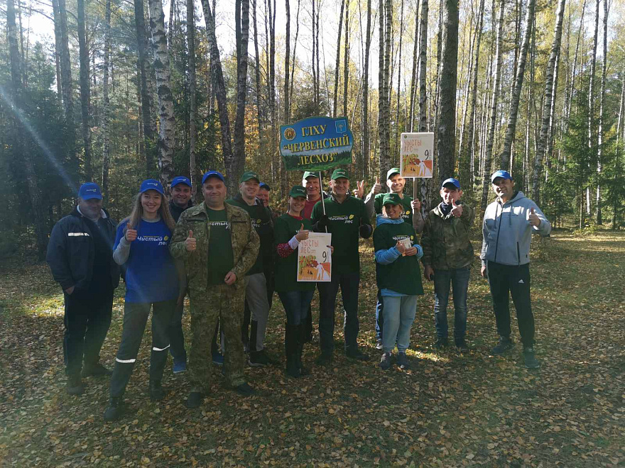 Работники ОАО «АЛЕВКУРП» приняли участие в добровольной акции «Чистый лес» 1