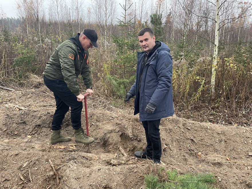 Лесу - новую жизнь! 2