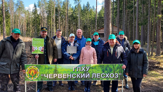 Международный день лесов Международный день лесов
