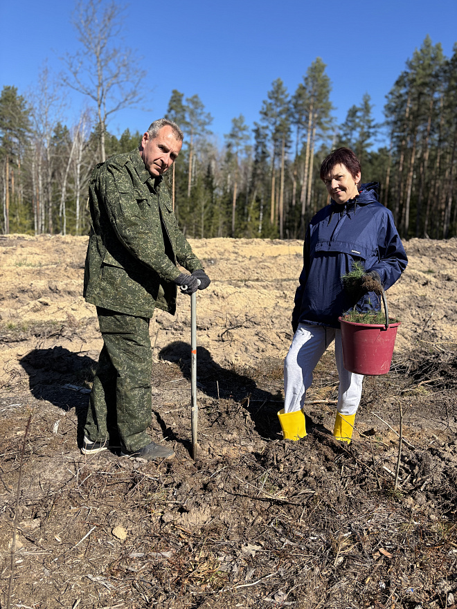 «Дай лесу новае жыццё» 3