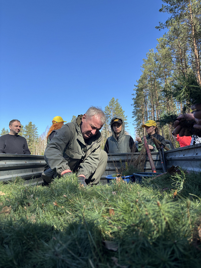 «Дай лесу новае жыццё» 1