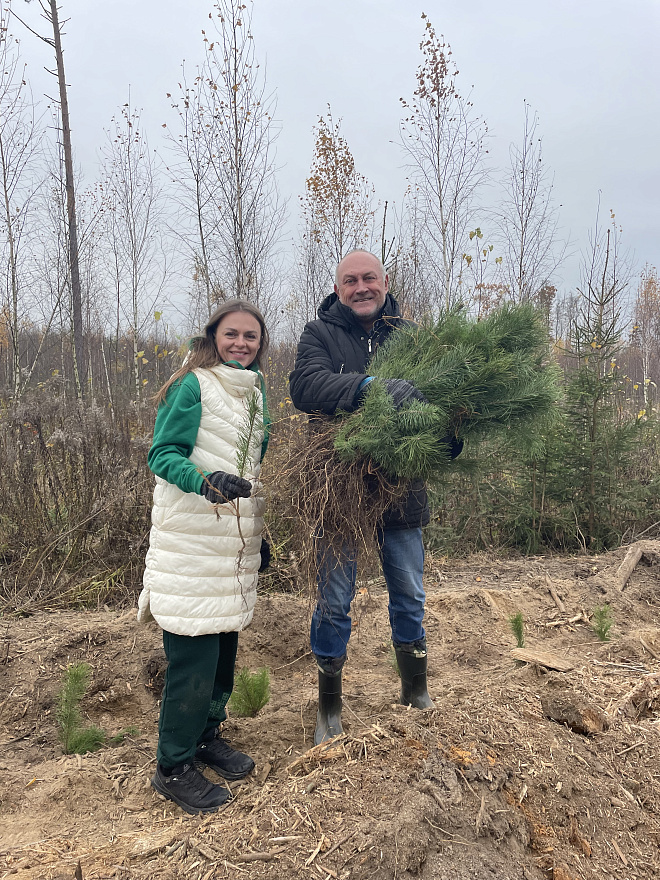 Лесу - новую жизнь! 0