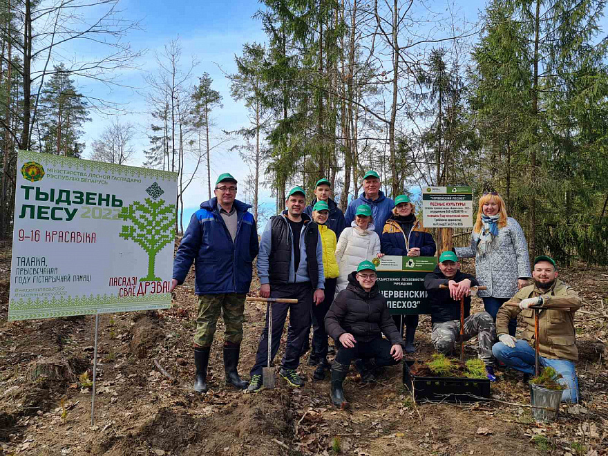Кіраўніцтва і работнікі ААТ «АЛЕВКУРП» прынялі ўдзел у рэспубліканскай акцыі «Тыдзень лесу» 1