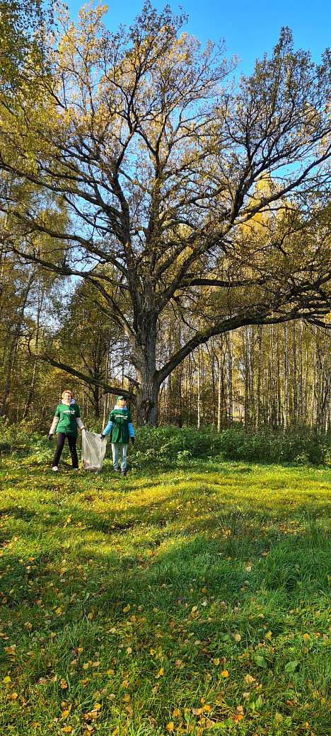 Работники ОАО «АЛЕВКУРП» приняли участие в добровольной акции «Чистый лес» 6