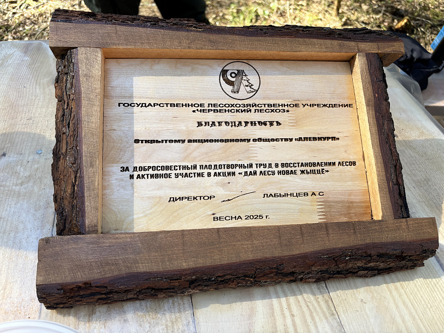 «Дай лесу новае жыццё» 0